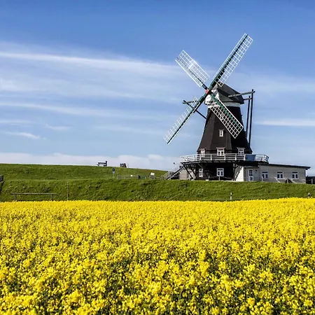 Gud Jard Nr 18 - Design-ferienhaus Mit Exklusiver Ausstattung Casa vacanze Pellworm