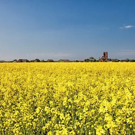 Casa vacanze Gud Jard Nr 18 - Design-ferienhaus Mit Exklusiver Ausstattung Pellworm