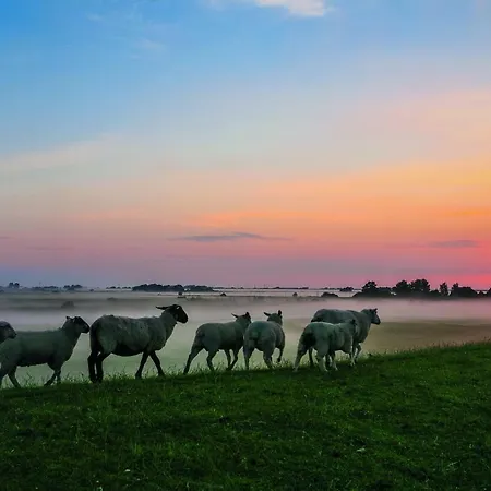 Casa vacanze Gud Jard Nr 18 - Design-ferienhaus Mit Exklusiver Ausstattung Pellworm